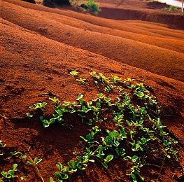 无双工作室带来《狂野之心》15分钟试玩演示